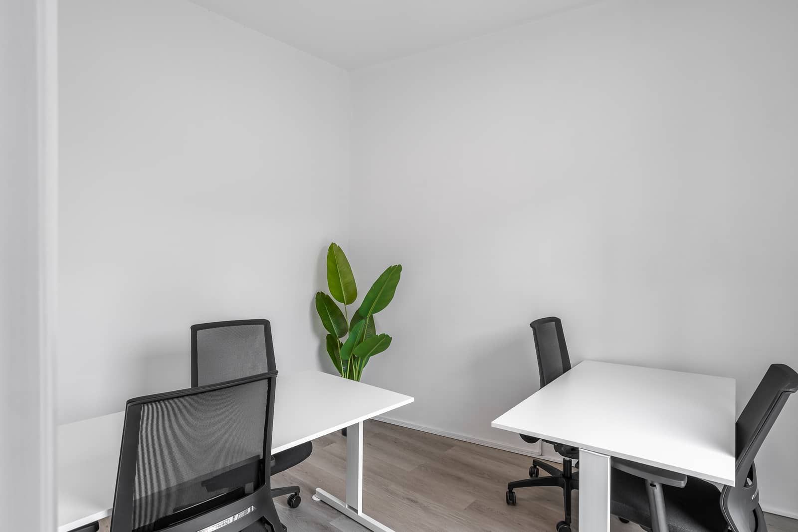 Private desks
